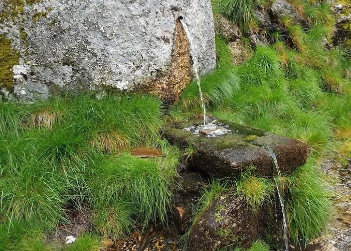 بيت للعطل Ferienvilla Casa Oriana Mit Privatem Pool By Interhome Sao Paio (Guarda)